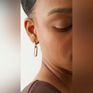 NWOT - Jenny Bird Teeni Detachable Link Earrings